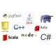 Programming Languages