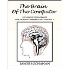 The Brain of the Computer